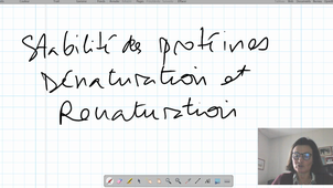 CM 3 Utilisation de la PDB...partie 4