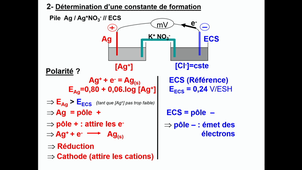 Chapitre 3 - Les ions complexes (SECONDE partie)