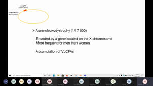 B_oxydation Peroxisomale