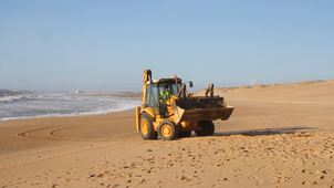 Dauphin évacué de la plage 3