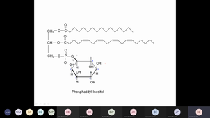 Phospholipides