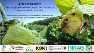 Agroécologie - Croiser les Regards - REPLIK & RIPPOSTE
