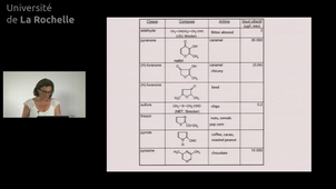 20 Maillard reaction 4