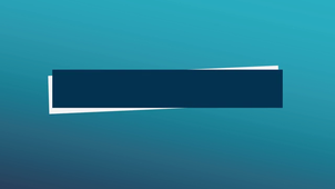 Projet Delmoges - Vidéo fin de projet