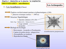 Cours d'Ecologie Planctonique - Cours N#2