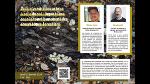 De la diversité des arbres à celle du sol : importance pour le fonctionnement des écosystèmes forestiers