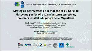 Mise en évidence des stratégies de traversée de la Manche et du Golfe de Gascogne par  les oiseaux migrateurs terrestres à l’aide de suivis télémétriques dans le cadre du programme MIGRATLANE