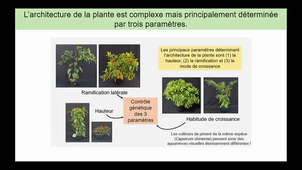 SCIENCES_AMPHI400_20230210-155027_S1R1.mp4