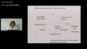 21 Lipid degradation 1