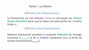 La fluorescence - la théorie