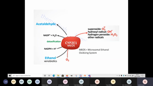 Ethanol N2