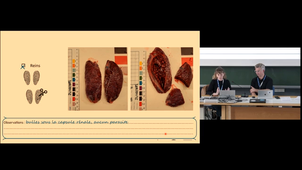 Exploitation des échouages à travers les examens et prélèvements : présentation de la méthodologie et de son évolution / Partie 1