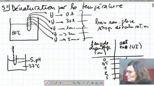 CM 4 Utilisation de la PDB...partie 3