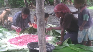 Vanuatu for Windows Mediaplayer.wmv