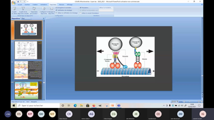 Mitochondries Fission Fusion VoieUPR