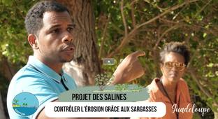Les solutions fondées sur la nature pour s'adapter au changement climatique dans les outre-mer. Volet 4 - Projet des Salines : contrôler l'érosion grâce aux sargasses (Le Gosier - Guadeloupe)