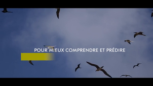 Campagne REMMOA POLYNESIE