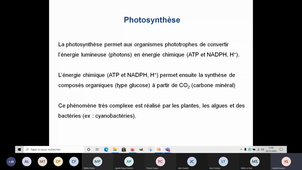 Intro Photosynthèse