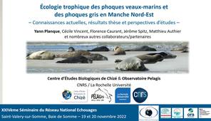 14_Ecologie des phoques en Manche: connaissances actuelles et perspectives