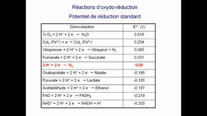 Redox2