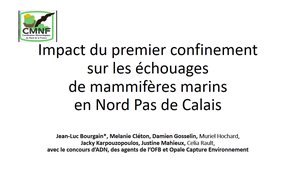 Impact du premier confinement sur les échouages de mammifères marins dans le Nord - Pas de Calais