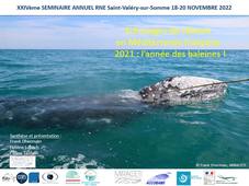 1_Echouages de mammifères marins en Méditerranée en 2021