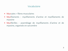 Cours Physiologie Animale Le muscle Partie 1