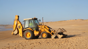 Dauphin évacué de la plage 2