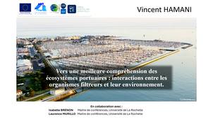 Vers une meilleure compréhension des écosystèmes  portuaires : interactions entre les organismes filtreurs et leur environnement.