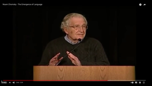 Noam Chomsky: The Emergence of Language in the Human Species