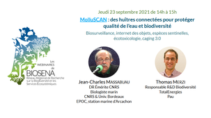 MolluSCAN - des huîtres connectées pour protéger qualité de l'eau et biodiversité