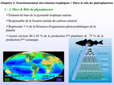 Cours d'Ecologie Planctonique - Cours N#8