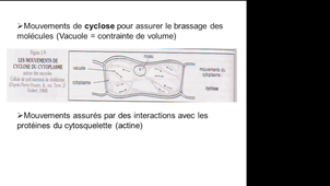 CM1 sciences du vivant Mickael AIRAUD