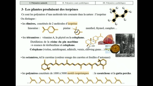 Les plastiques d'hier et d'aujourd'hui (première partie)