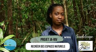 Les solutions fondées sur la nature pour s'adapter au changement climatique dans les outre-mer. Volet 3 - Projet JA-RIV : recréer des espaces naturels, mangroves et forêts marécageuses avec le conservatoire du littoral en Guadeloupe