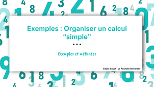 Exemple : organiser un calcul numérique 