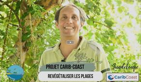 Les solutions fondées sur la nature pour s'adapter au changement climatique dans les outre-mer. Volet 2 - Projet CARIB-COAST : revégétaliser les plages pour réduire l'érosion côtière