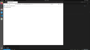 TutoVSCode_ProjetL1ISI.mp4