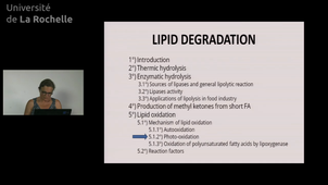 24 Lipid degradation 4