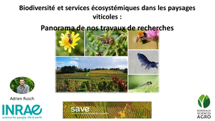 Agroécologie - Croiser les Regards - SAVE