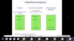 Système à 2 composants