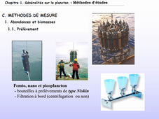 Cours d'Ecologie Planctonique - Cours N#4 - Erratum Diapo sans commentaires