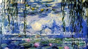 La modélisation systémique d’un socioécosystème en cours de transformation : le cas du marais de Brouage