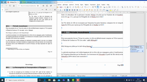 [P1] Révisions - Traitement de texte - 11