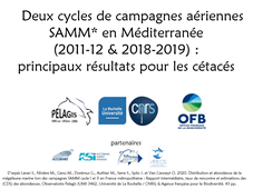 Deux cycles de campagnes aériennes SAMM en Méditerranée