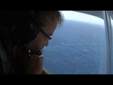 REMMOA Protocole d'observation