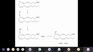 Bilan Peroxydation lipidique