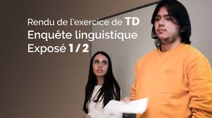 Découvrir la licence Lettres - Travaux Dirigés – Rendu de l’exercice : Enquête linguistique 1er Exposé