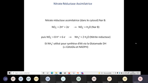 Nitrate Reductase dissimilatrice et NR assimilatrice