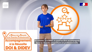 La Maison de la Réussite et de l'Insertion Professionnelle - Service Rapide